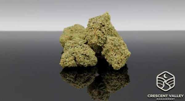 Flower: Animal Sherb Mints 5g Prepack *****SALE******