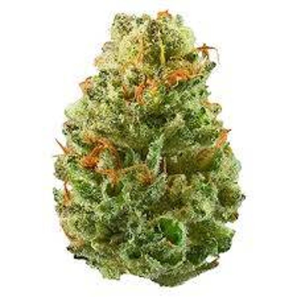 Flower: Sugar Shack #6 Indica