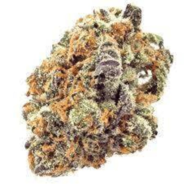 Flower: Terpy Hut Hybrid Indica