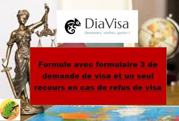 Formule avec formulaire 3 de demande de visa et un seul recours en cas de refus de visa / 9.800.000 Ariary
