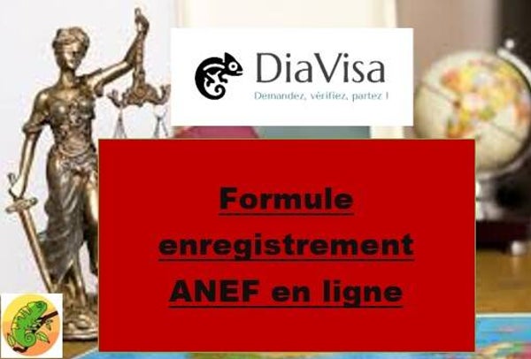 Formule enregistrement ANEF en ligne / 650.000 Ariary