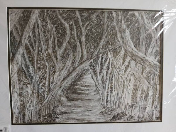 Dark hedges