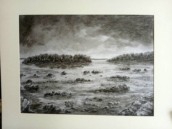 Strangford lough