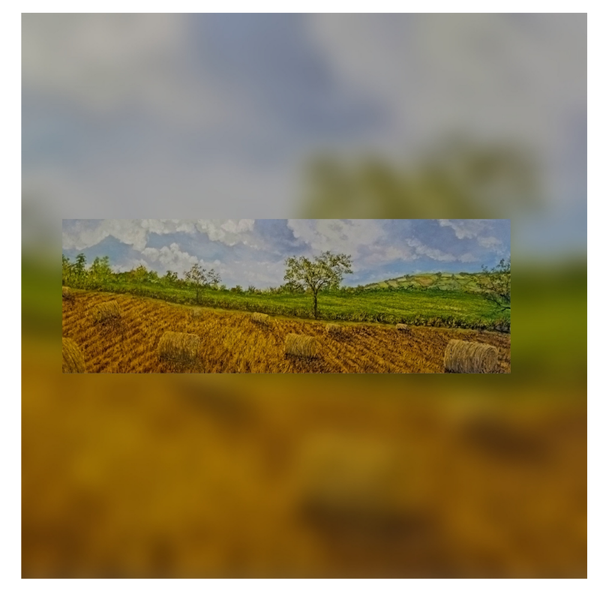 Harvest