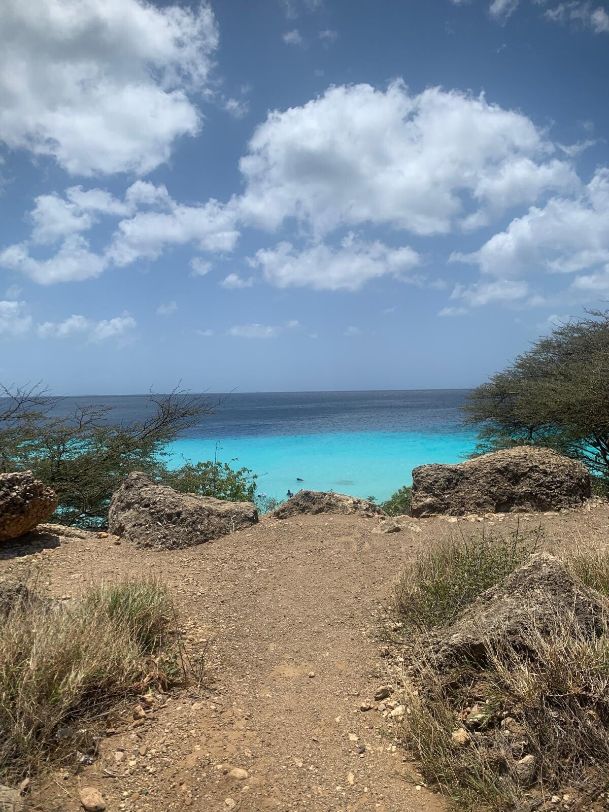 Skip the complicated bookings. WhatsApp our local Curaçao experts to manage your stay, transport, and tours. Seamless travel from arrival to departure starts here!