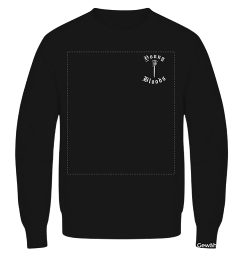 Pullover Backprint