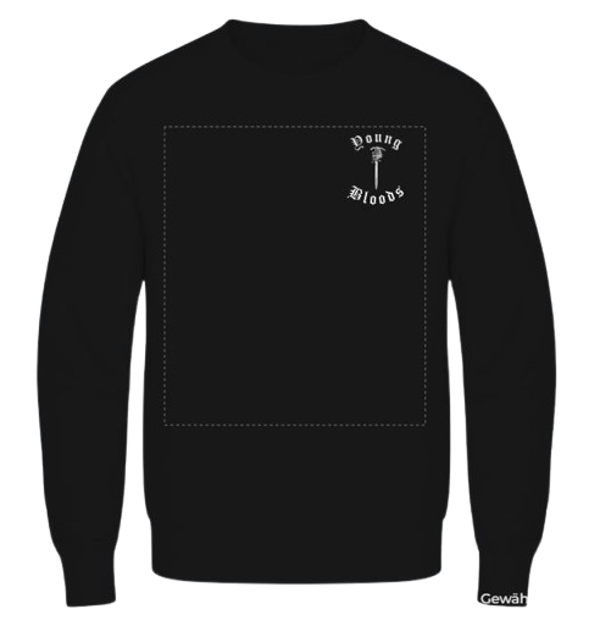Pullover Backprint