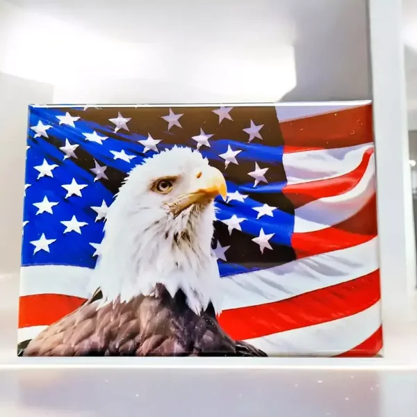 Aigle et Drapeau USA