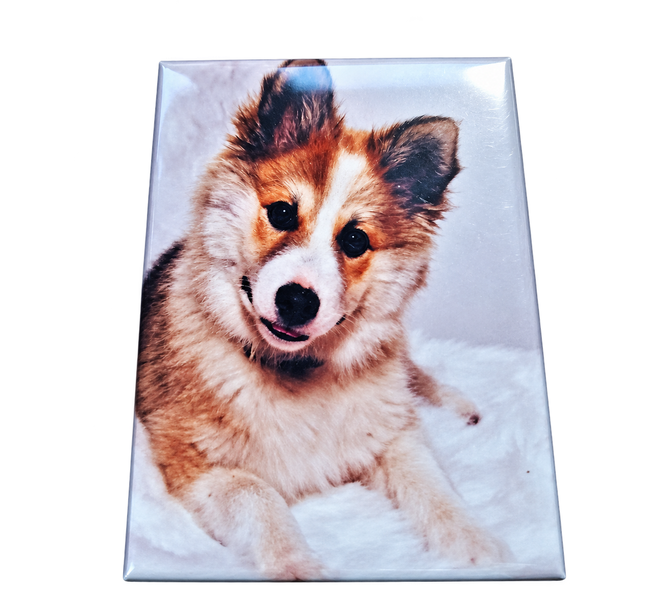 Chien Norvégien Magnet