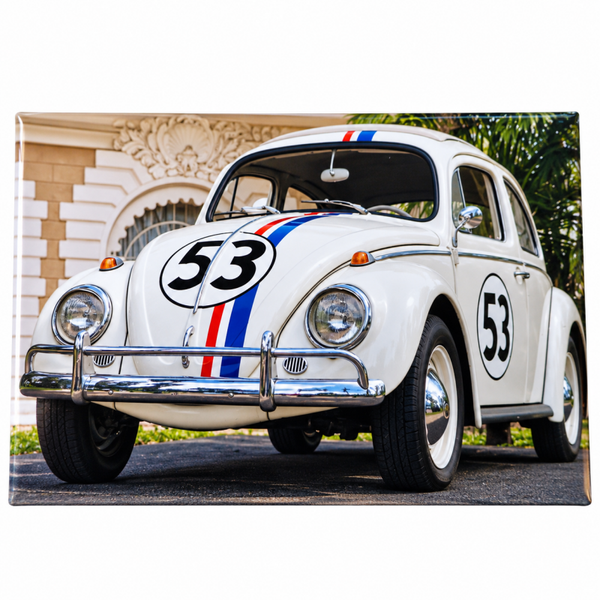 Coccinelle 53