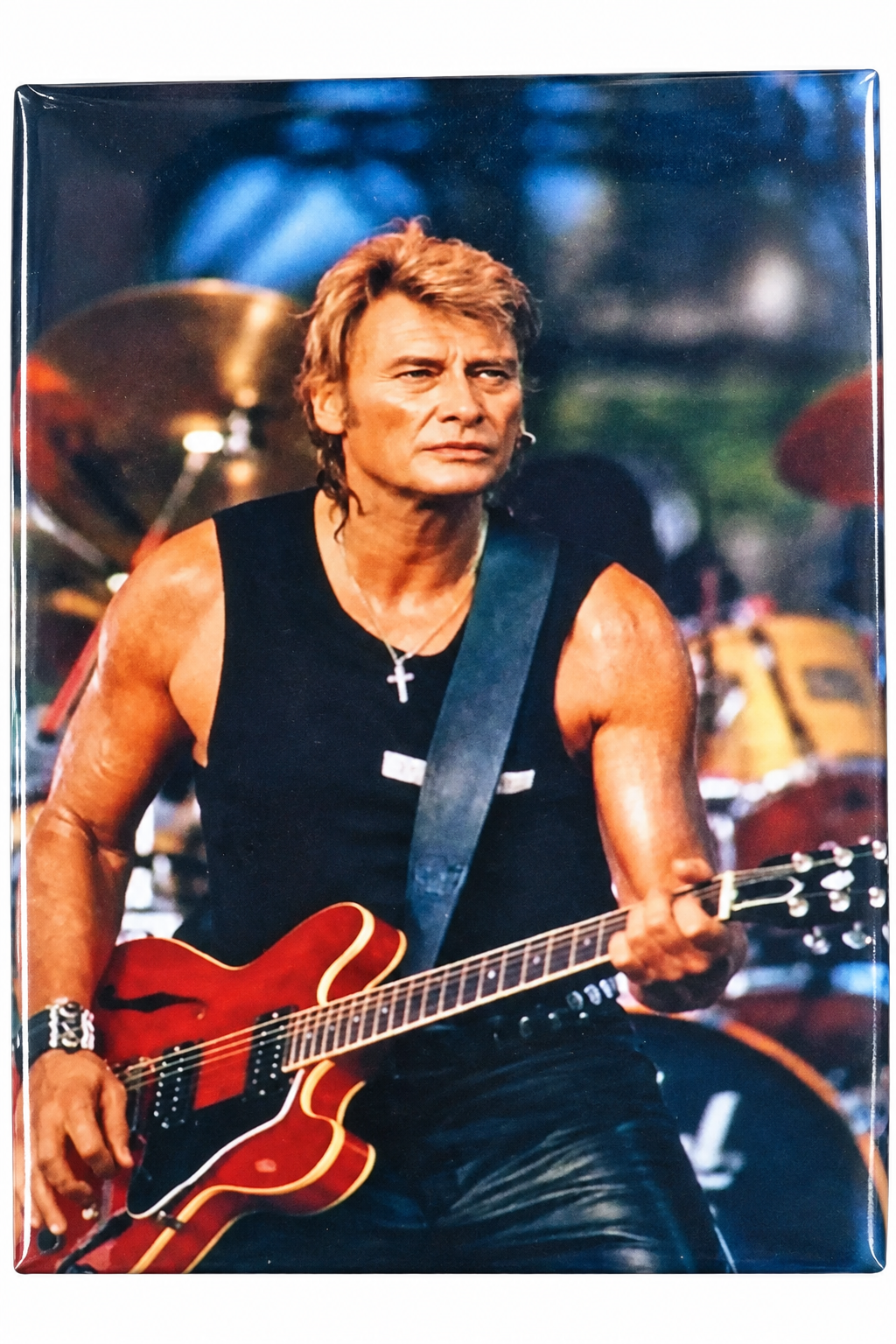 Johnny Hallyday en Concert