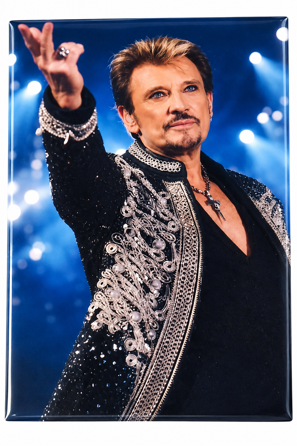 Johnny Hallyday Icône du Rock