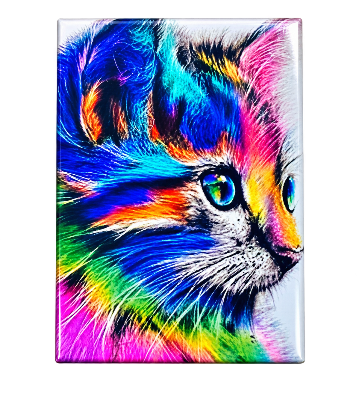 Magnet Chat Multicolore