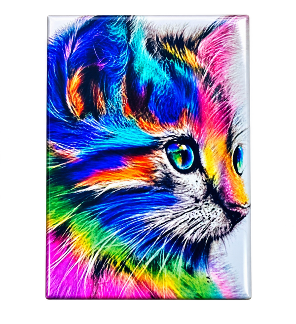 Magnet Chat Multicolore