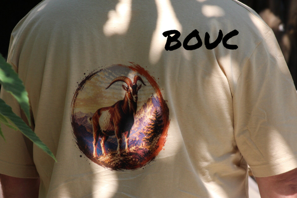 Tee-shirt adulte