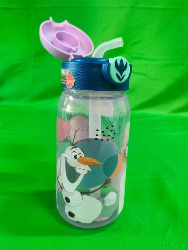 BOTELLA DE AGUA FROZEN
