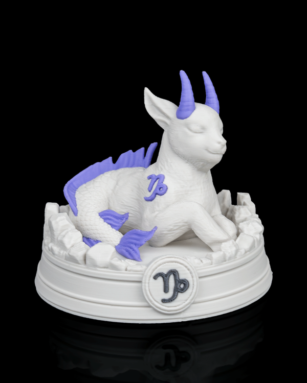 Astro charms Capricorne