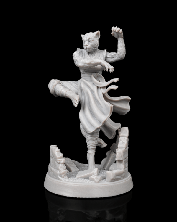 Liu Chen – The Tigress Monk – Hero – Mythic Warriors – GBS Adventure