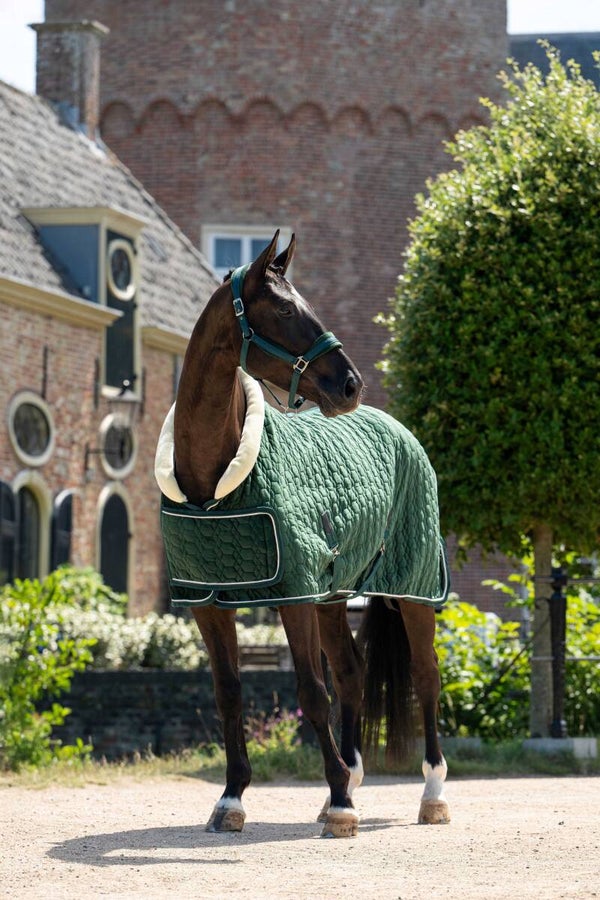 HB velvet Sowtime special show deken