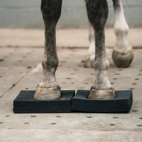 Curafyt Equimove balance Pads