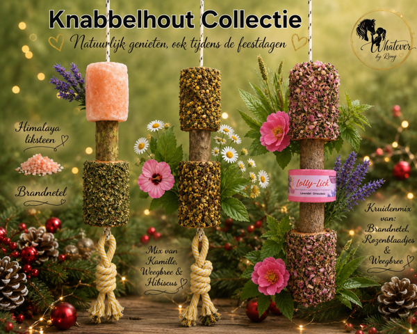 Kerstbox 2