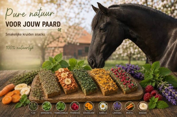 Paardenkoek 3 voor € 10,-