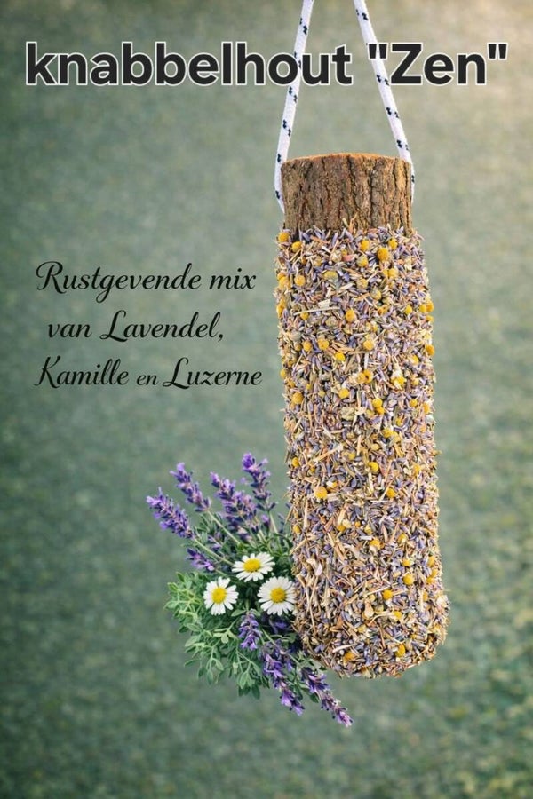 Whatever by Reny knabbelhout Zen