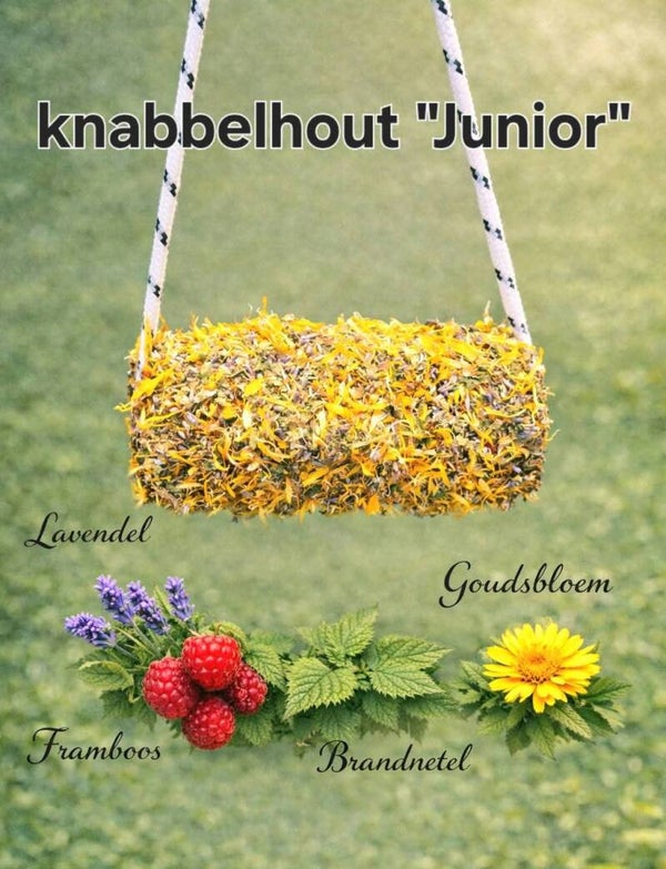 Knabbelhout Whatever by Reny Junior