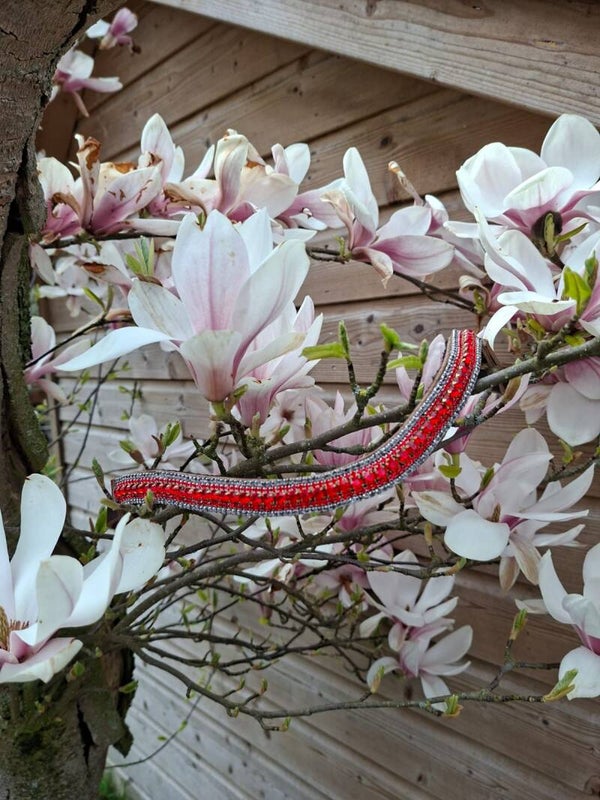 Frontriem Rood/ zilver