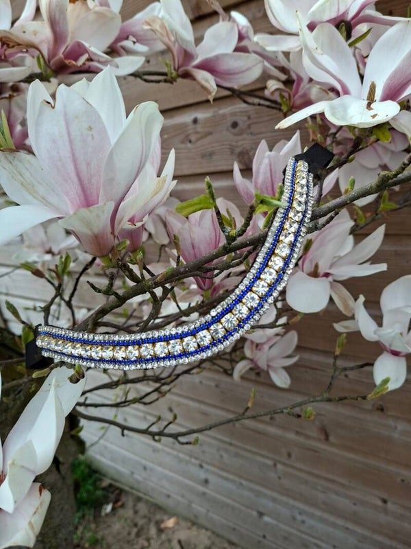 Frontriem Blauw/ zilver
