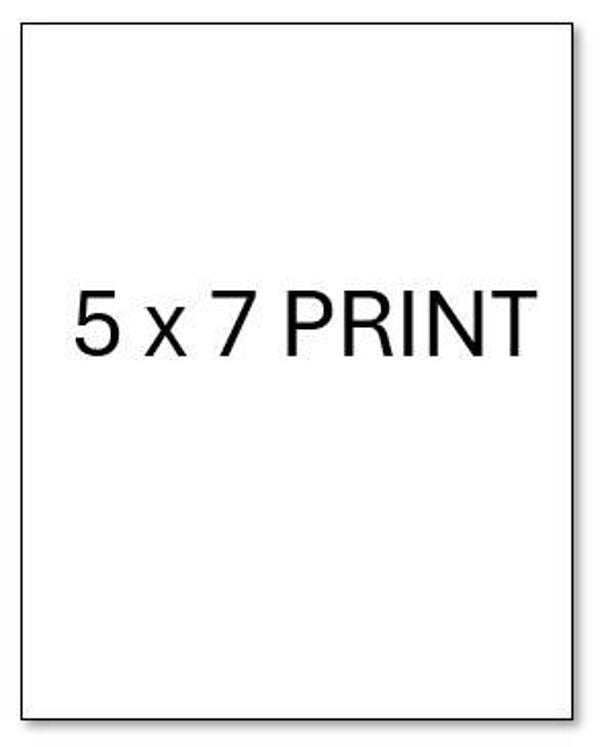 PRINTS (print size of 5 x 7 - current availability - quantity of 6 per current titles) OF ANY smaller ORIGINAL other than the largest format)