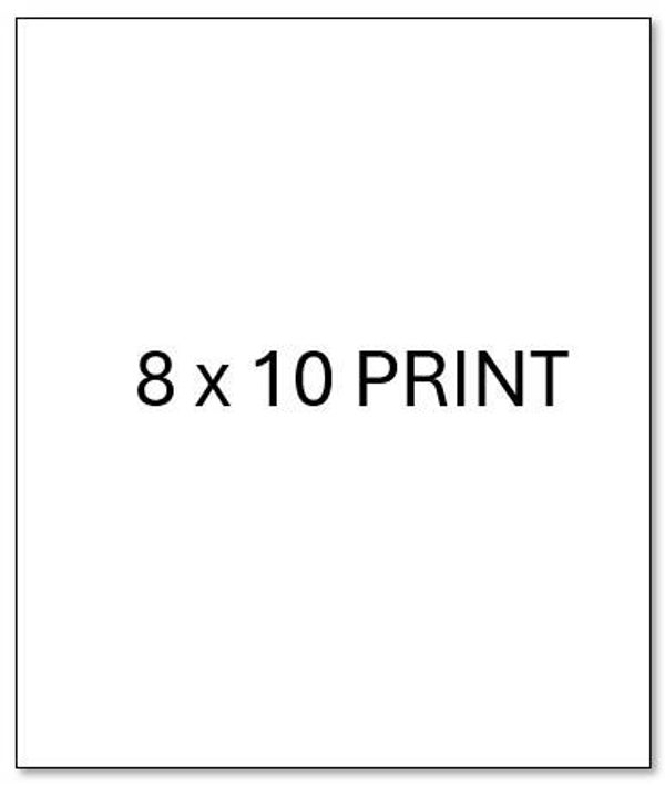PRINTS (print size of 8 x 10 - current availability - quantity of 6 per current titles) OF ANY smaller ORIGINAL other than the largest format)