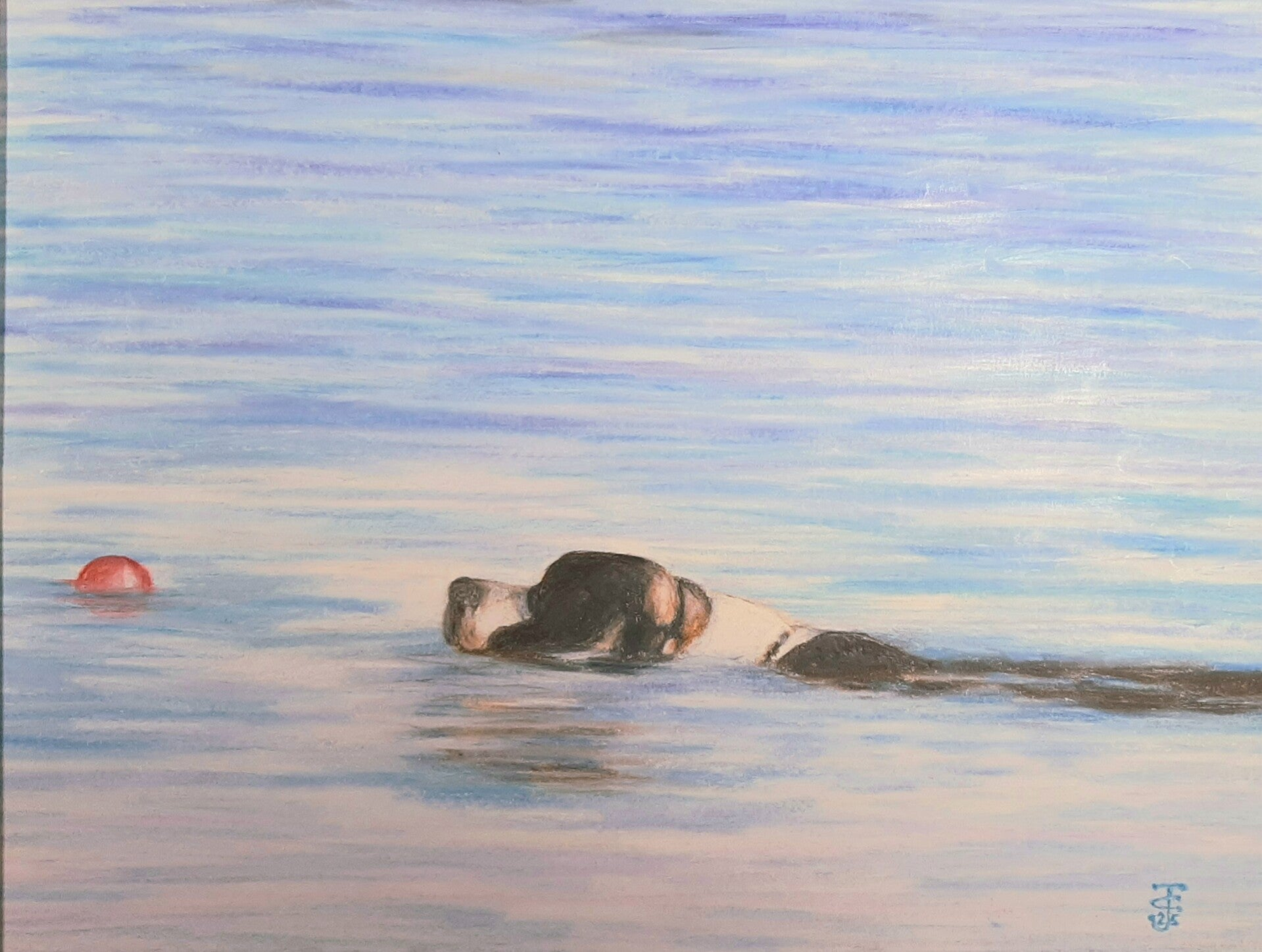 Animals Domestic and Wild