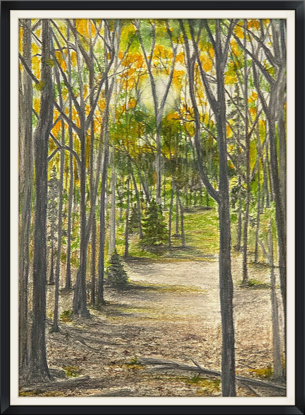Arboreals ORIGINALS - 12" x 16" finished mat size