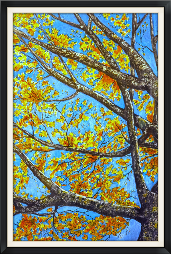 Looking Up - 28" x 36"