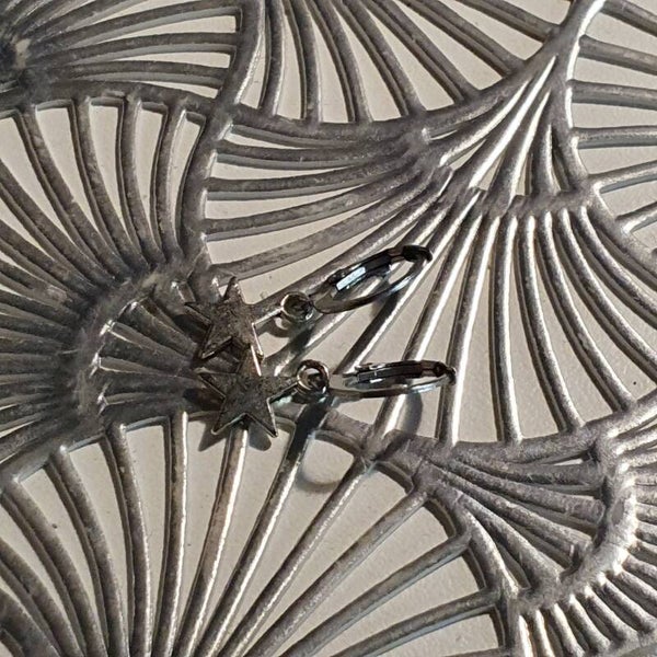 The Starr Oorbellen (Zilver)