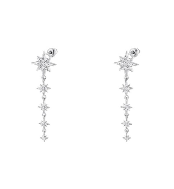 The shine star earrings (zilver)
