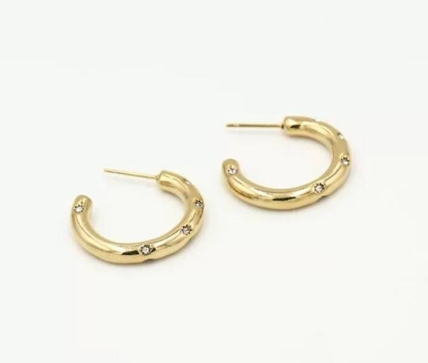 The diamond earrings
