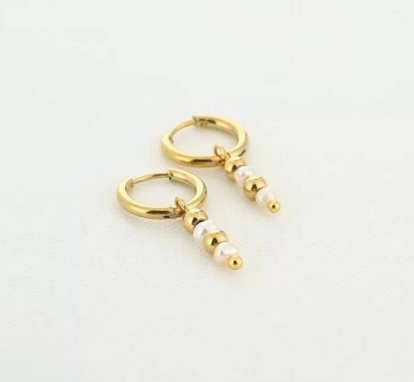 The earrings pearl and steel
