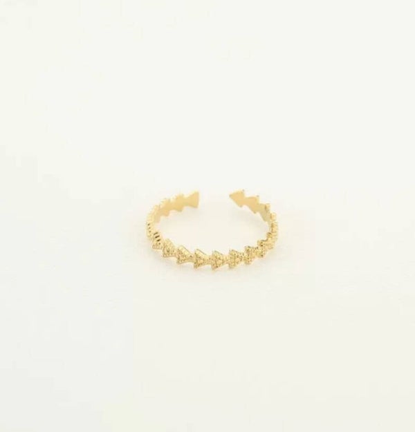 De mini driehoek ring