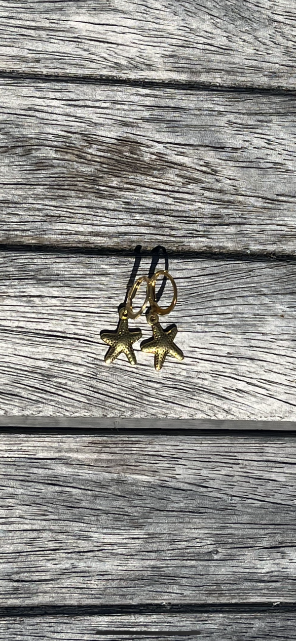 Sea star ⭐️ Earrings