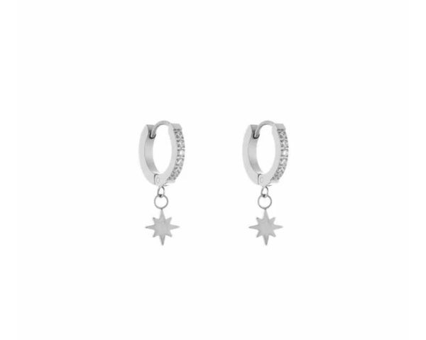 The diamond star earrings