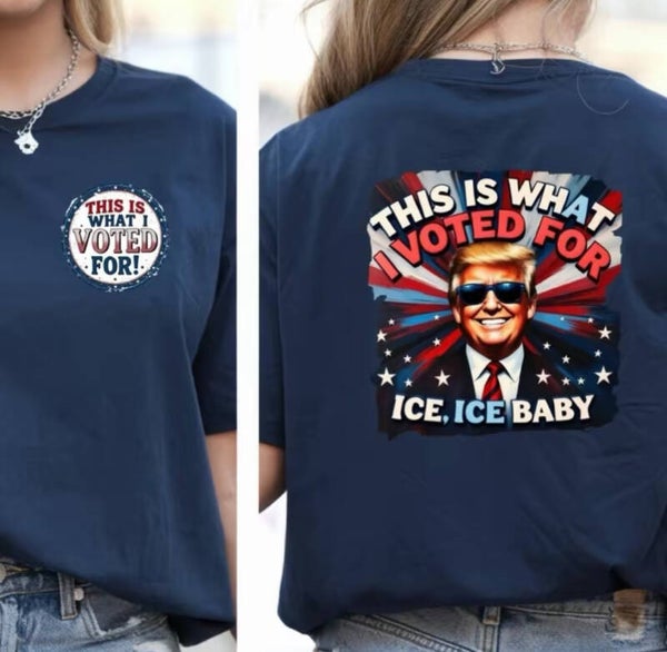 This is what I voted for ICE, ICE Trump T- Shirt.