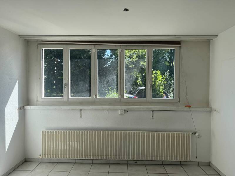447ab395-83fb-4afd-b198-66fc1c6e3944-standard.jpg