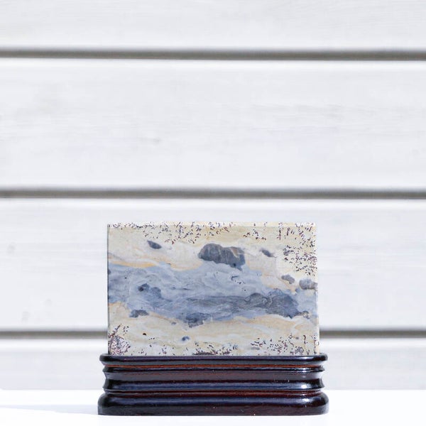 Landschap Jaspis Schijf Op Standaard