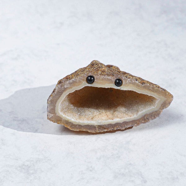 Agaat Desk Pet C