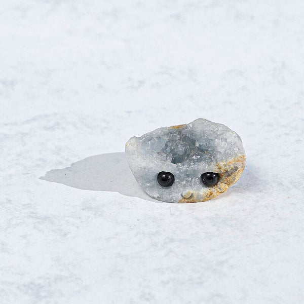 Celestien Desk Pet