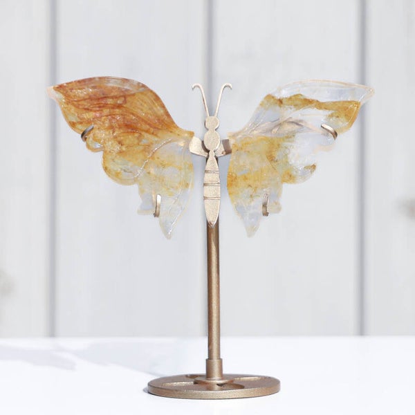 Golden Healer Vlinder #351a