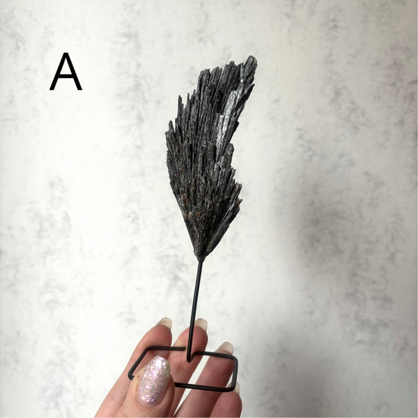 Zwarte Kyaniet Op Standaard #320