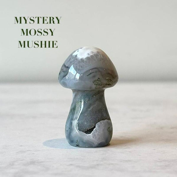 Mystery Mossy Mushie